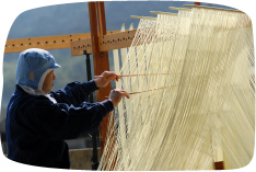 �����`�i