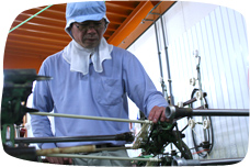 �����B��