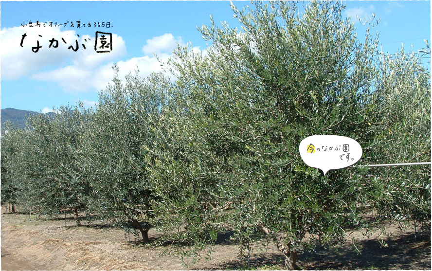 �Ȃ��ԉ��̃I���[�u